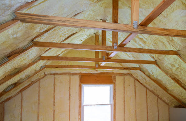 Best Insulation Inspection Services  in Trenton, OH