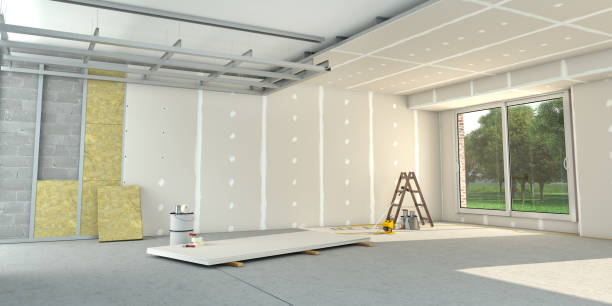 Best Insulation Removal Services  in Trenton, OH
