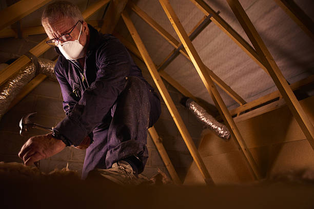 Best Crawl Space Insulation  in Trenton, OH